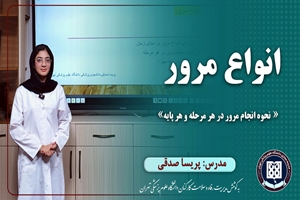 برنامه تلویزیونی